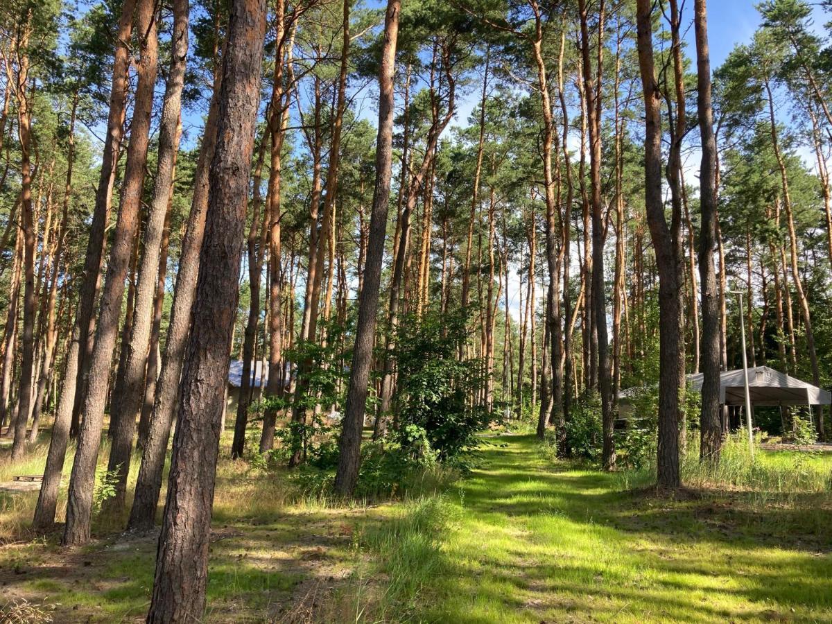 Gora Spokoju Osada Klimatyczna-Lesna Inowlodz Екстер'єр фото