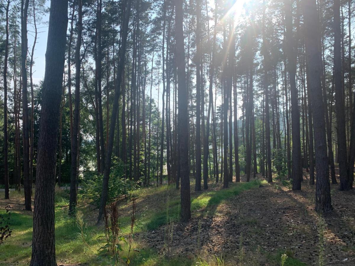 Gora Spokoju Osada Klimatyczna-Lesna Inowlodz Екстер'єр фото