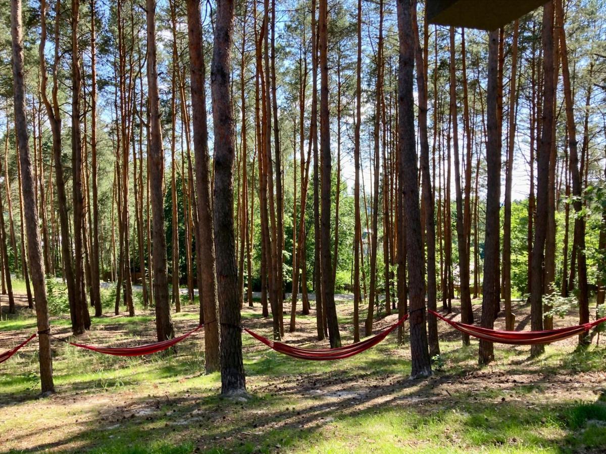 Gora Spokoju Osada Klimatyczna-Lesna Inowlodz Екстер'єр фото