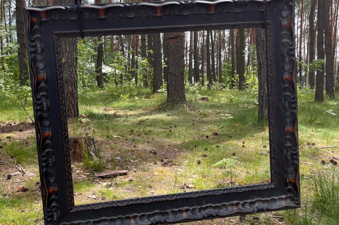 Gora Spokoju Osada Klimatyczna-Lesna Inowlodz Екстер'єр фото